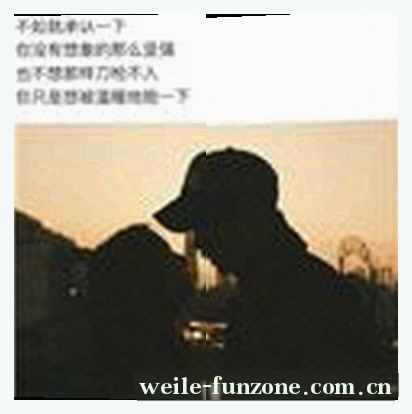 张磊